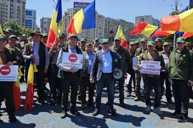 federatia silva acuza ca noua ordonanta care modifica legislatia silvica ar fi neconstitutionala am sesizat avocatul poporului si cerem interventia ccr 692830d1d470d