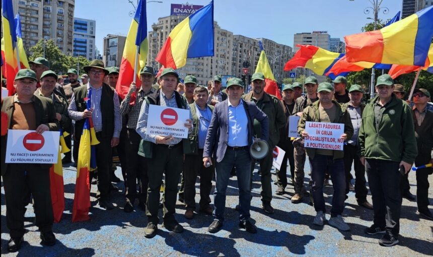 federatia silva acuza ca noua ordonanta care modifica legislatia silvica ar fi neconstitutionala am sesizat avocatul poporului si cerem interventia ccr 692830d1d470d