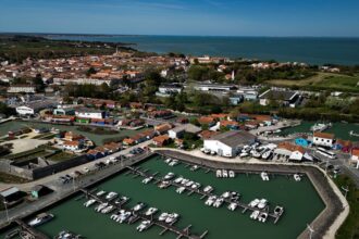 five injured after man deliberately drives car into people on french island 690b75bc3cfb6