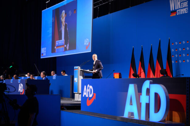 germania congresul afd amanat din cauza protestelor spune purtatorul de cuvant 692ad5225f6ec