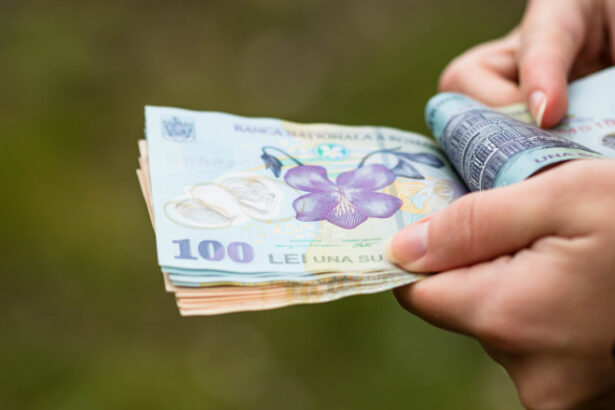 in plin scandal pe salariul minim curtea de justitie decide ca uniunea europeana nu poate interveni in stabilirea salariilor tarilor membre 69132e94987c6