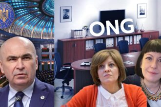 inca un ong ist ocupa un loc in echipa lui bolojan madalina marcu devine secretar de stat in biroul oanei gheorghiu 691c8535e0a8f