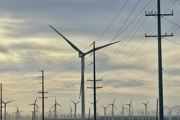 incep lucrarile la un parc eolian care va reduce emisiile de co2 cat pot 75 milioane de copaci ce judet este capitala regionala a energiei eoliene 6925d7d0cc3f4