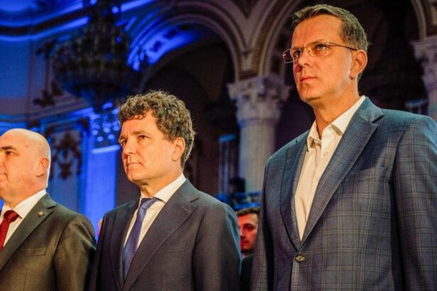 ionut mosteanu lauda strategia de aparare a lui nicusor dan ce permite implicarea serviciilor secrete in documentarea faptelor penale 691558e28b23f