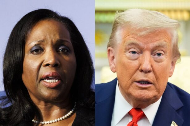 lawyers for fed governor accuse trump administration of cherry picking facts in fraud case 691b98bca600b