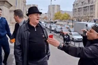 mitica dragomir nu a primit ordinul de protectie impotriva lui marian ceausescu 691c8a8e9506d