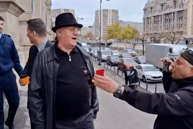 mitica dragomir nu a primit ordinul de protectie impotriva lui marian ceausescu 691c8a8e9506d