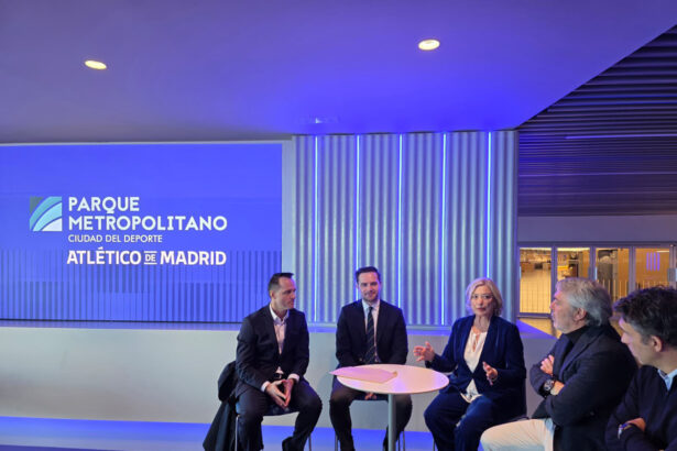 modelul de la madrid inspiratie pentru arena nationala 6920ae667132a