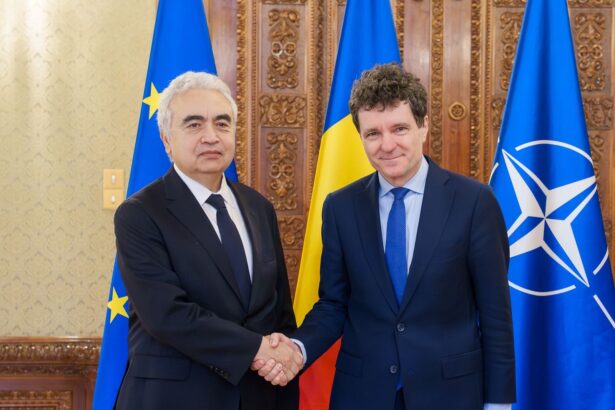 nicusor dan vrea ca romania sa adere la agentia internationala de energie dan a discutat cu fatih birol presedintele organizatiei 691caadb9445c