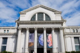 one third of museums lost government funding since trump took office survey says 6913d08d46b15