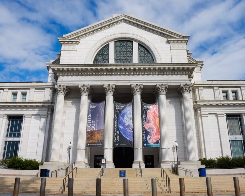 one third of museums lost government funding since trump took office survey says 6913d08d46b15