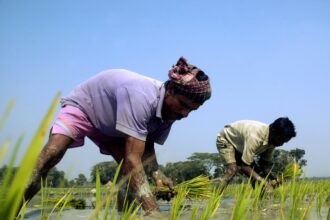 only 3 of international climate aid going to transitioning communities this is absurd 6908c5fa74636