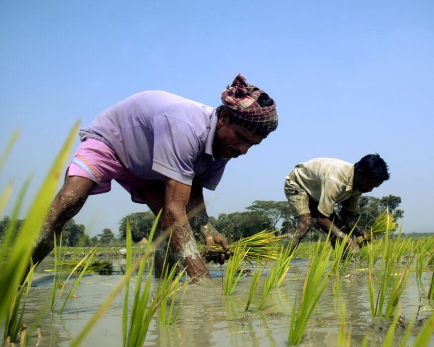 only 3 of international climate aid going to transitioning communities this is absurd 6908c5fa74636