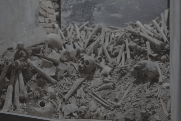 oras al mortilor sub un spital istoric din centrul milanului cu ramasitele a peste 10 000 de pacienti din secolul xvii ce arata analizele despre populatia acelor vremuri 6905ec49c3f95