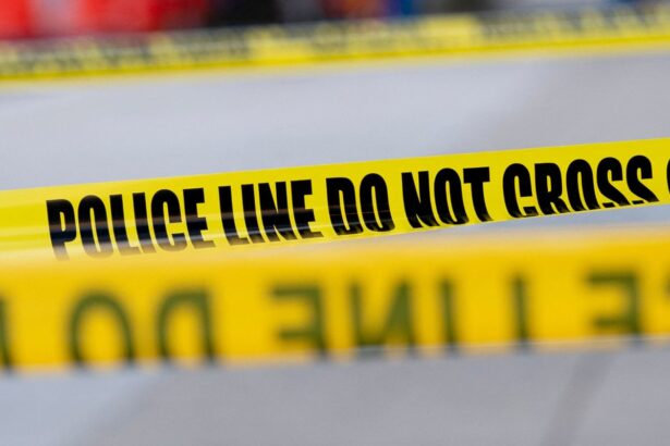 outcry as tiktok livestreamer who allegedly hit and killed man asks for donations 69131e682fa0e