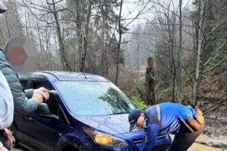 patru turisti care au vrut sa ajunga la chilia lui arsenie boca au ramas blocati pe drumul forestier 69229c6fe2fa3