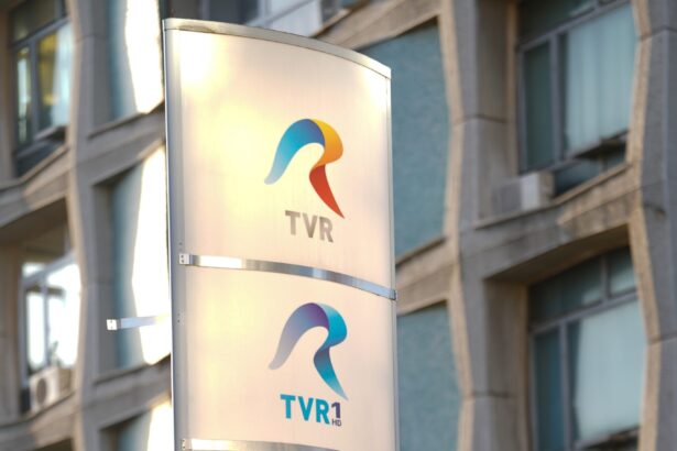 plenul parlamentului se reuneste pentru numirea conducerilor tvr srr si aep un fost ministru al apararii favoritul psd 691c3207783ba