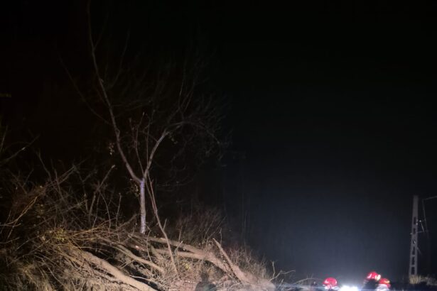 prahova sub cod galben pompierii intervin pentru inundatii copaci cazuti si alunecari de teren 692c14e7f1025