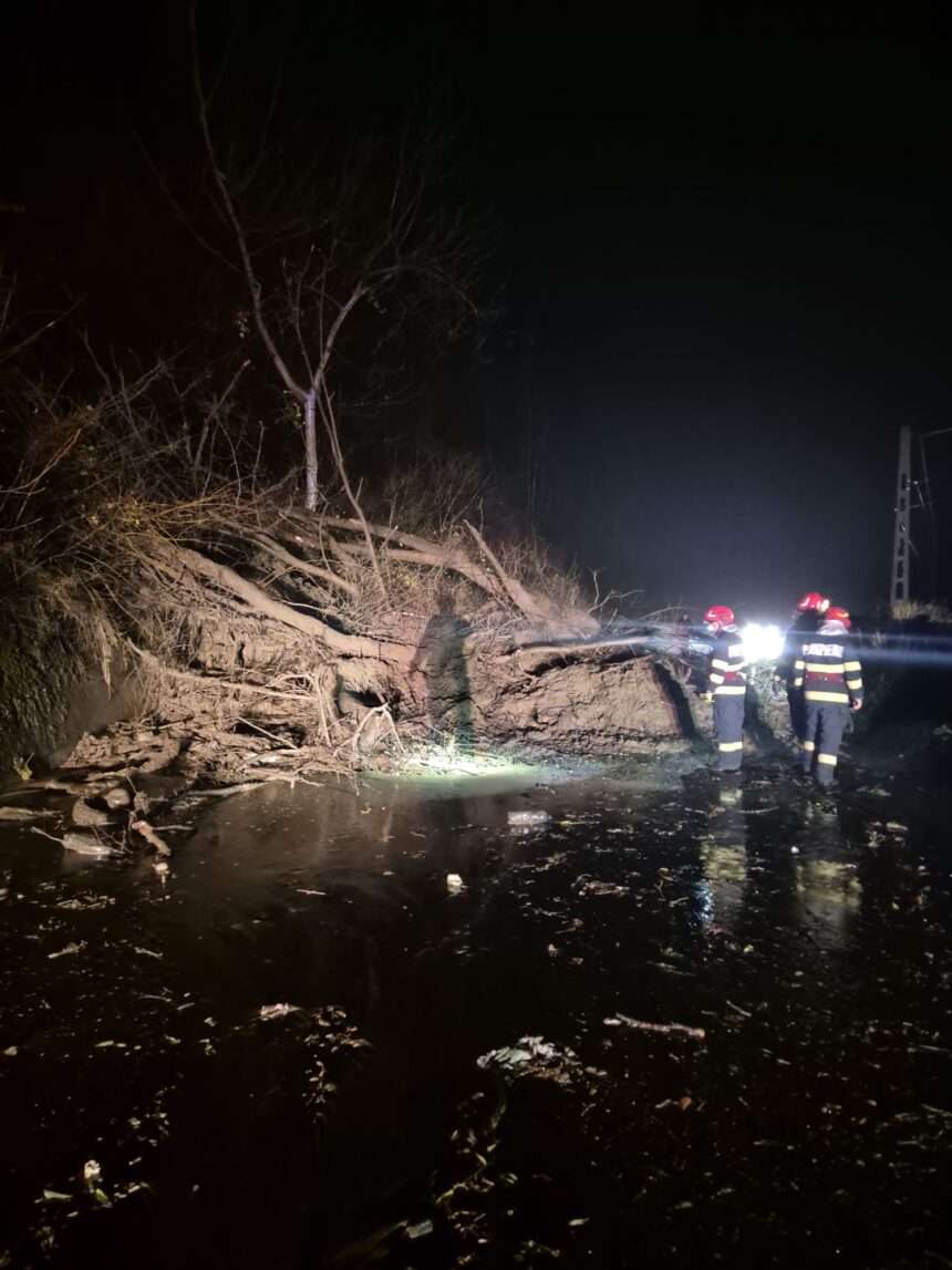 prahova sub cod galben pompierii intervin pentru inundatii copaci cazuti si alunecari de teren 692c14e7f1025