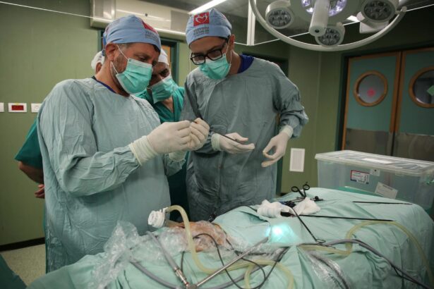 premiera medicala la craiova o tumora hepatica a fost distrusa fara operatie deschisa 691329389a0a5