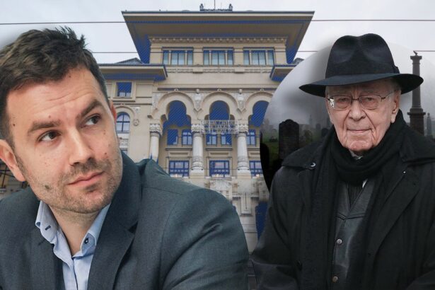 razboiul pentru primaria capitalei se muta pe lumea cealalta mihai sora catalin drula devine de facto nevotabil 691db8549d7ff