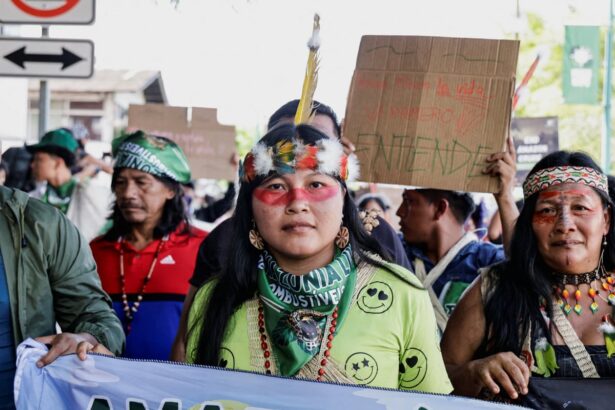 row over definition of gender hangs over cop30 plans to support women 6915ff5ba877a