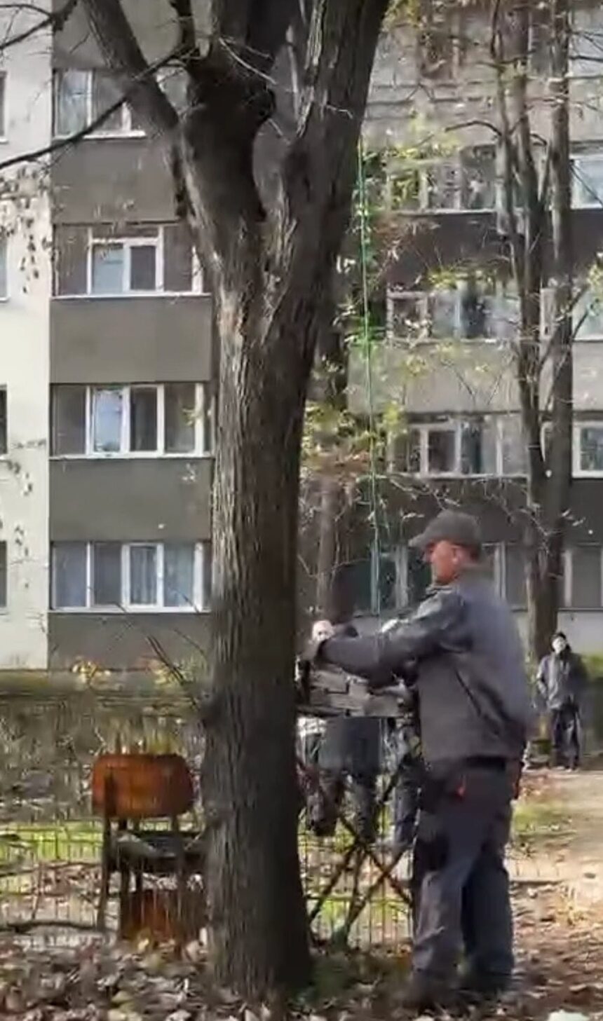 taieri ilegale de copaci in parcul ior sub ochii politistilor locali de mediu 6925e2306bee2
