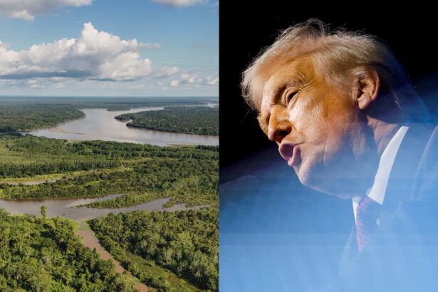 the temperature at cop30 trumps absence better than a us wrecking ball 6911d2b5f092f