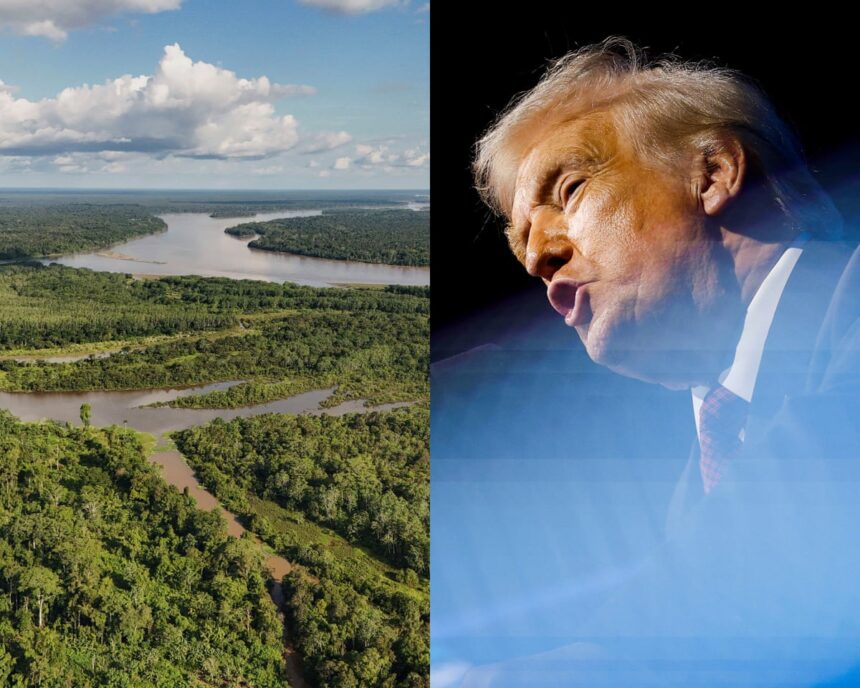 the temperature at cop30 trumps absence better than a us wrecking ball 6911d2b5f092f