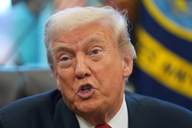 trump says he is ending immigration protections for somalis in minnesota 692131eedebf6