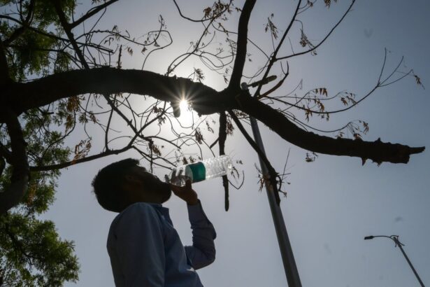 trumps anti climate agenda could result in 1 3m more deaths globally analysis finds 691dce9fc96d8