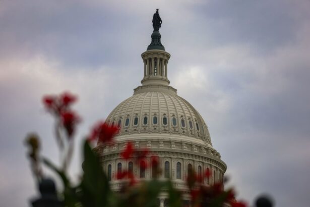 us government shutdown enters 35th day as senate rejects funding package for 14th time 690a6980e8a6d