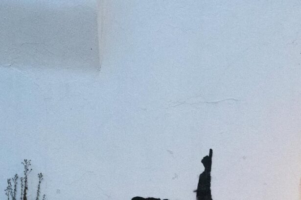 banksy dezvaluie un nou mural cu copii privind stelele in londra 694a68addec6b