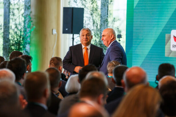 bolojan se intalneste cu viktor orban inainte de plecarea in vizita oficiala austria 692f33aa5ba51