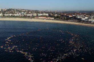 bondi paddle out surfers paddleboarders and swimmers pay tribute to victims of mass shooting 69448c3c249f2
