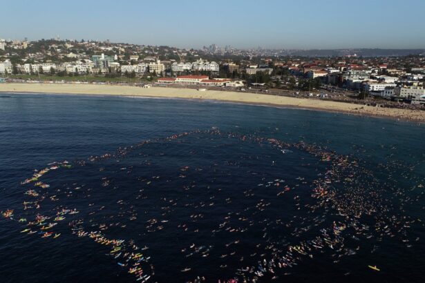 bondi paddle out surfers paddleboarders and swimmers pay tribute to victims of mass shooting 69448c3c249f2
