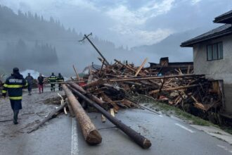 cod rosu de vant puternic in caras severin rafalele depasesc 90 km h in 15 localitati 693271eed8d44