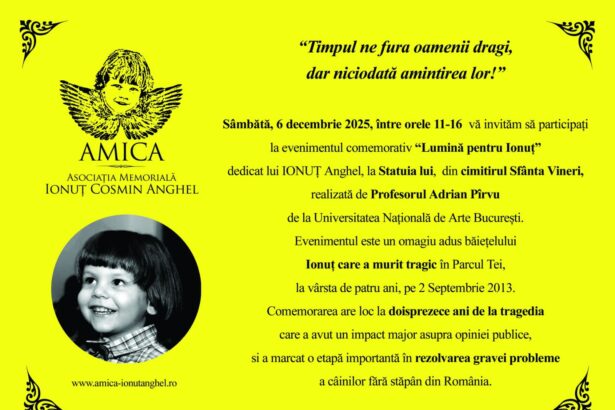comemorare pentru ionut anghel baietelul de 4 ani ucis de o haita de caini cu doisprezece ani in urma 693411fc16640