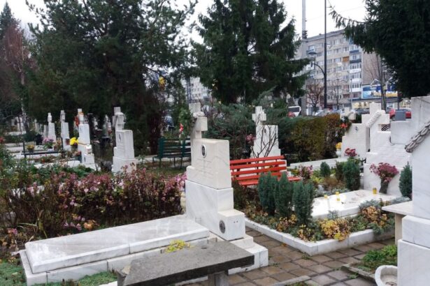 comemorarea eroilor cazuti in decembrie 1989 a avut loc la cimitirul eroilor revolutiei 6949126f1fa0c