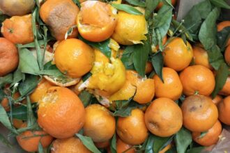 controale anpc produse alimentare expirate mucegai si murdarie in magazine 693c2af937322