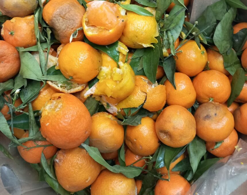 controale anpc produse alimentare expirate mucegai si murdarie in magazine 693c2af937322