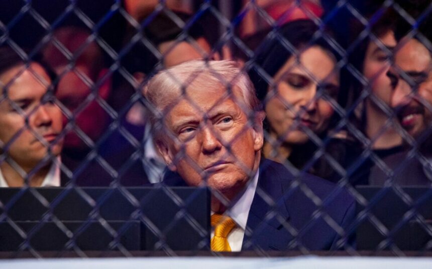 detalii despre gala ufc de la casa alba de ziua lui trump liderul sua anunta ca va fi cea mai mare din istorie 69370c5ab7874