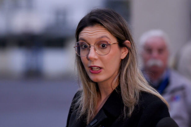 diana buzoianu anunta demiteri si demisii in scandalul apei nu si pe a ei 69399ce62e2f1