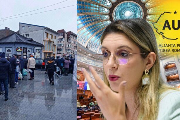 diana buzoianu obligata sa vina in parlament la solicitarea aur ministra trebuie sa dea explicatii pentru criza apei din prahova si dambovita 693021a00e1fc