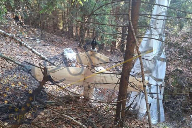 europol despre drona gasita in arges nu se cunoaste daca drona are legatura cu conflictul din ucraina 6947fdefd0f5a