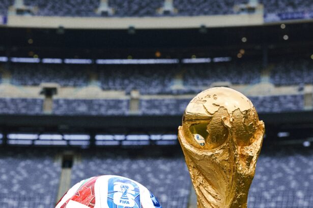 fifa socheaza cu cele mai scumpe bilete din istoria cupei mondiale 693b1242e7e60