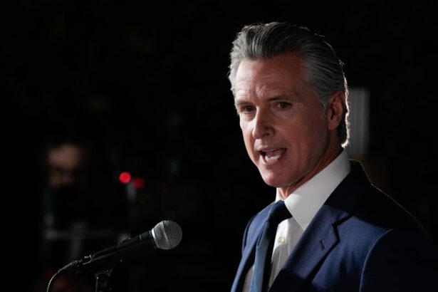 gavin newsom pushes back on trump ai executive order preempting state laws 693d9008d9dcb