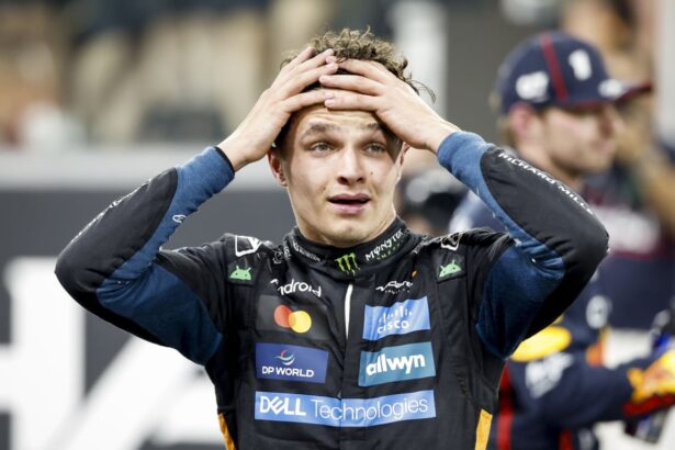 lando norris wins f1 world title in abu dhabi despite verstappens gp win 6935955d07c75