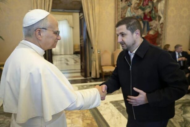 liderul grupului aur in ecr s a intalnit cu papa leon al xiv lea 693c0b650caae
