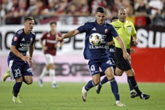 meciul fc botosani cfr 1907 cluj deschide vineri etapa a 21 a a superligii 6944e2f8e8816